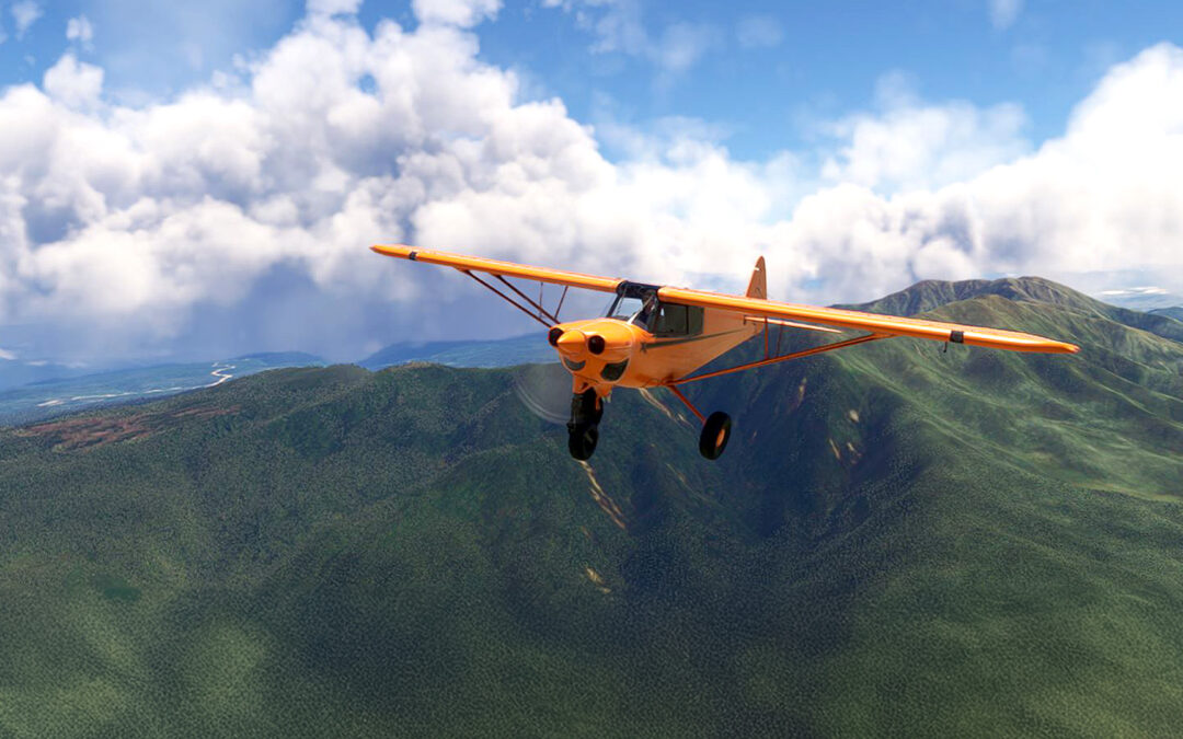 Fly the Community [121]✈️ Oksibil – Puri